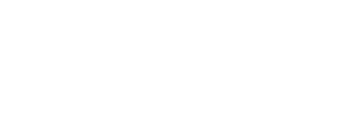 nirint-white